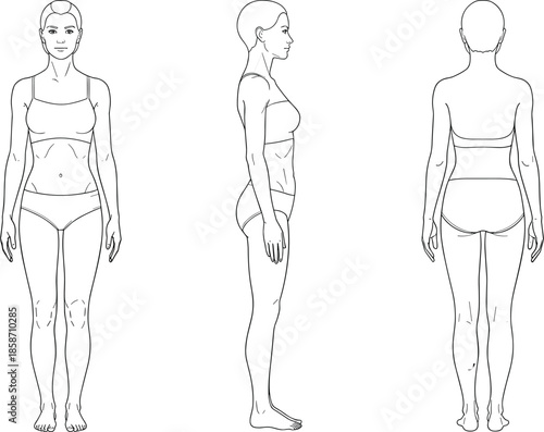 Female body anatomy template with front side and back views representing fitness health medical charting skin care and physical therapy
