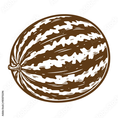 Vintage Brown and white striped melons top view with stem isolated on transparent background