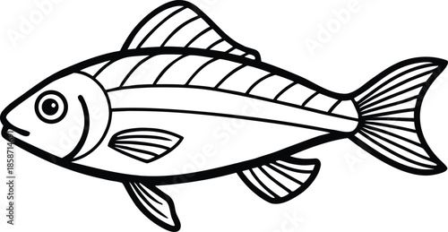 Cartoonstyle fish illustration with detailed fins and scales