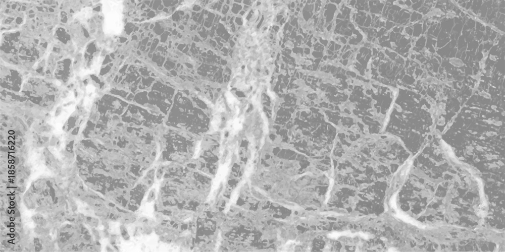 Obraz premium White gray grey bright light grunge stone concrete cement blackboard chalkboard wall texture background. Back flat stucco gray stone table top view. 