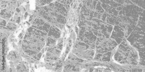 White gray grey bright light grunge stone concrete cement blackboard chalkboard wall texture background. Back flat stucco gray stone table top view. 