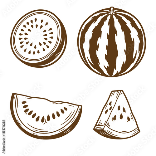 Vintage Brown kiwi and watermelon illustrations including slices and whole fruits on white background