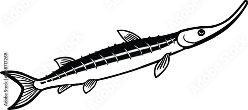 Illustration of a longnosed elongated fish isolated on transparent background