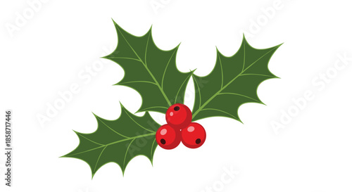 Vibrant illustration of a classic Christmas holly sprig featuring three jagged dark green leaves and a cluster of three bright red berries.