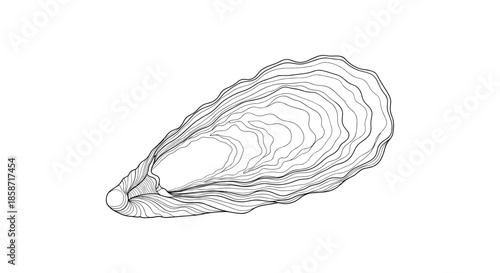 Detailed black and white line art illustration of an open oyster shell showcasing its complex internal texture and natural organic form.