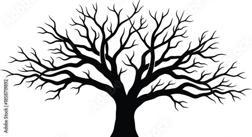 Dry Tree Silhouette Vector Illustration on White Background