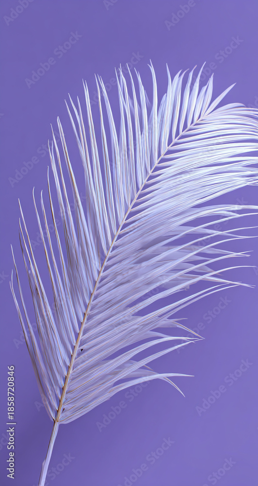 Fototapeta premium Single palm leaf on purple background