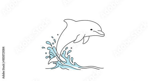 Graceful dolphin leaping out of the ocean water with blue splashes in a clean minimalist and modern illustration style.