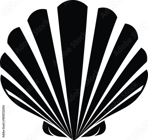 A striking black and white illustration of a scallop shell detailed and elegant