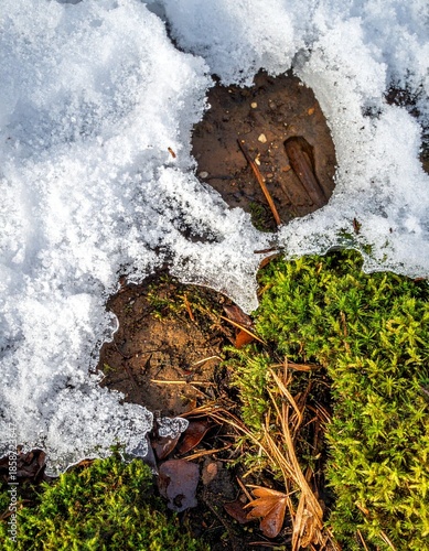 A patch of frosted ground in winter. Generative AI