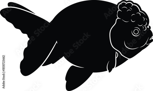 A striking black silhouette of an oranda goldfish showcasing its unique features
