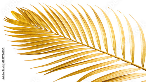 Wallpaper Mural Golden palm leaf isolated on white background cut out on PNG. AI GENERATED. Torontodigital.ca