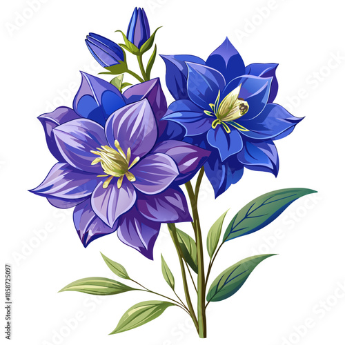 Blue Purple Delphinium Flowers with Green Leaves Botanical Illustration