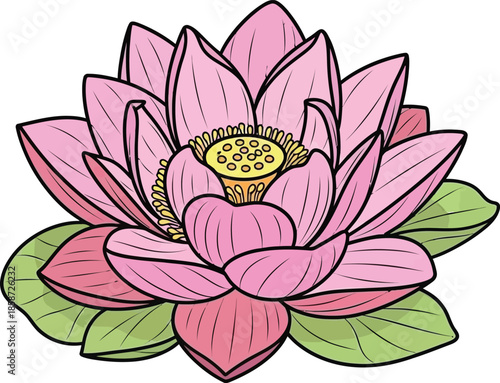 A beautifully illustrated pink lotus flower with detailed petals and green leaves