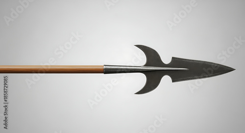 Harpoon spear with wooden handle and metal head