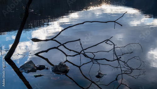 Partly submerged tree branches along shore of the Sugar Hollow Reservoir in central Virginia, with reflection of sunset and mountains.