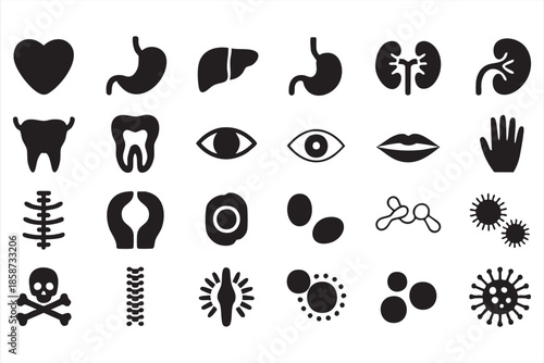 Medical Organ Icons Illustration for Biology Learning, Diagnostic Systems