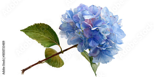 Elegant vintage floral pattern with soft blue and cream peonies and greenery