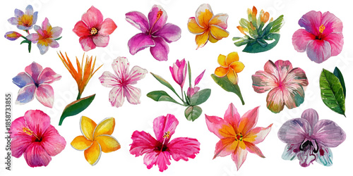 Vibrant tropical hibiscus flowers and exotic green leaves watercolor illustration set