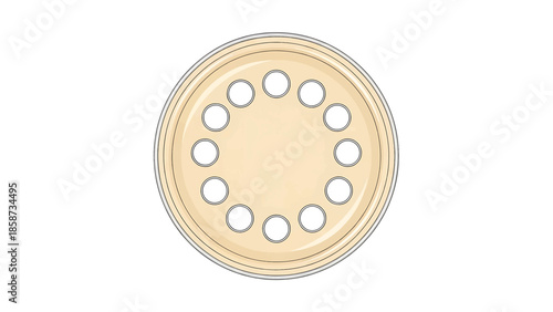 Top-down view of a round, light beige object with twelve circular cutouts around its edge on white