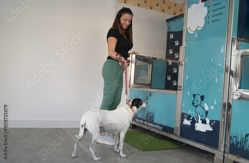 Canvas-taulu Woman washing dog at self-service pet grooming station