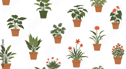 Colorful collection of potted houseplants arranged on a white background showcases lush green foliage and bright blooms in terracotta pots.