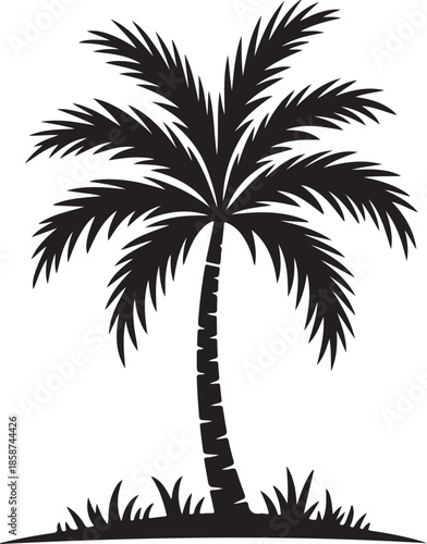 Tropical black silhouette of tall palm tree growing in sandy area with detailed fronds illustration