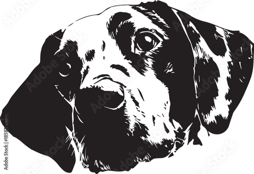 Cute Dalmatian Dog Peeking Minimal Black and White Vector Illustration