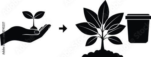 Eco friendly growth concept illustration showing hand nurturing small seedling transforming into mature plant with pot and soil