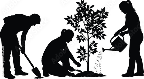 People planting and watering tree silhouette illustration showing teamwork, gardening activity, environmental care, sustainability concept, and eco friendly nature conservation theme