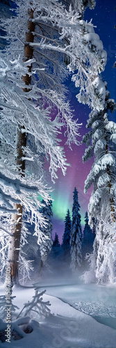 winter landscape with northern lights