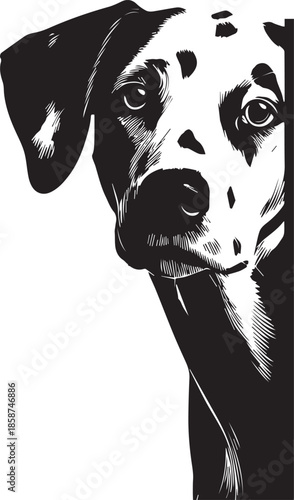 Cute Dalmatian Dog Peeking Minimal Black and White Vector Illustration