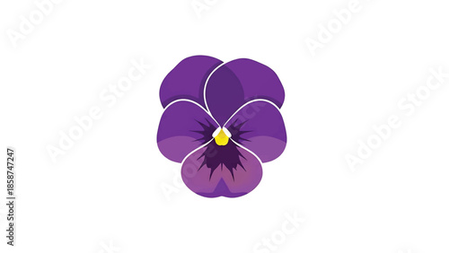 A vibrant purple pansy flower illustration with a yellow center and distinct petal shades on a white background