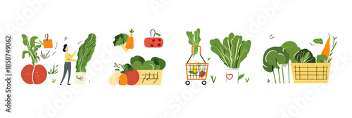 Online grocery shopping fresh organic vegetables including tomato, carrot, broccoli, spinach in basket and box with person checking list, flat vector illustration