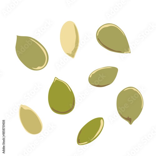 Pumpkin Seed – Hand Drawn Food Illustration Isolated on White Background