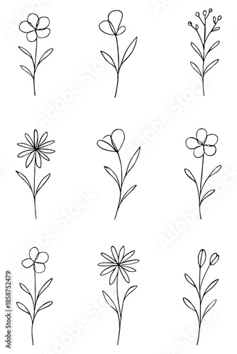 set of black and white flowers,
Minimalist Flower Line Drawing, Botanical Sketch Illustration