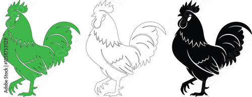 rooster walking with proud stance on transparent background, farm bird, country fowl, poultry animal, rural life, barnyard creature, domesticated bird, healthy livestock