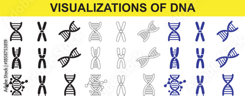 DNA double helix structures and chromosome illustrations