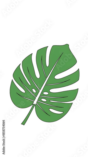 A vibrant green monstera deliciosa leaf with characteristic splits and holes, isolated on a clean white background