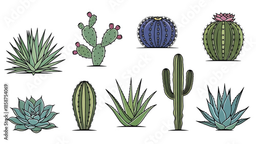 A vibrant collection of cartoon-style cacti and succulent plants, depicted in various shapes and colors