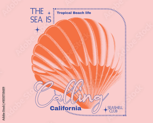Seashell vector art. Seashell Graphics in vintage. summer women's tee shirt design. girls print design. summer artwork.