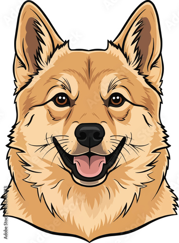 Norwegian Buhund dog smiling face closeup headshot portrait