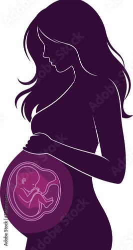 Pregnancy silhouette illustration showing expecting mother with unborn baby fetus, maternity health, prenatal care concept, motherhood and new life