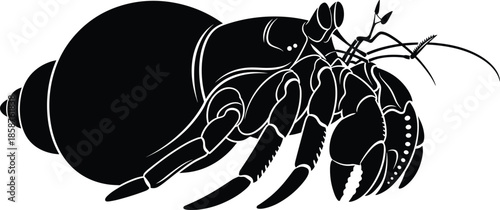 Black and white hermit crab vector illustration with detailed shell and claws, marine crustacean silhouette isolated on white background for coastal designs.