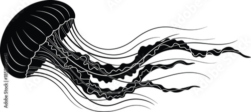 Black and white jellyfish vector illustration with flowing tentacles, detailed marine life silhouette isolated on white background for aquatic nature design projects.