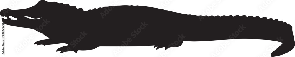 Obraz premium Black Silhouette of a Crocodile with Open Mouth and Visible Teeth also transparent background