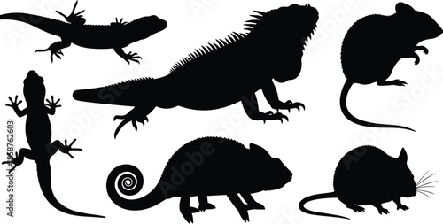 Black and white sunburst vector set, radial wavy line starburst silhouettes, organic sea anemone shapes, abstract solar corona icons, celestial graphic elements.