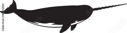Silhouette of a Narwhal with a Long Tusk Swimming in Water also transparent background black white marine