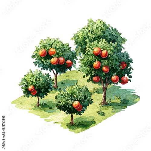 Watercolor isometric vector-style illustration of Orchard, isolated on white background.