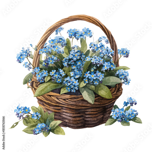 Watercolor isometric vector-style illustration of Forget-me-not Basket, isolated on white background.